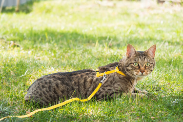 Similar image 20991296