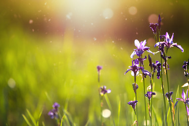 Similar image 20982742