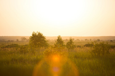 Similar image 20982745