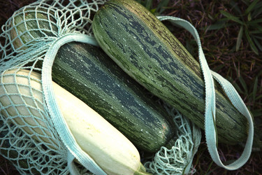 Similar image 20982746