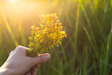 Similar image 20984213