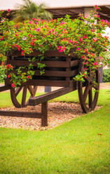 Similar image 20994575