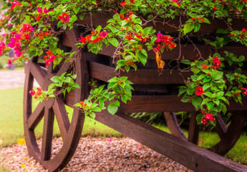 Similar image 20994578