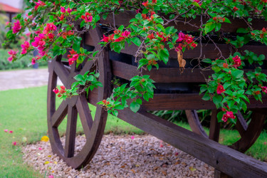 Similar image 20994579