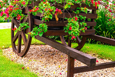 Similar image 20994581