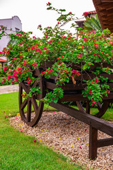 Similar image 20994583