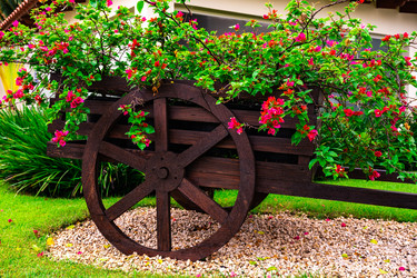 Similar image 20994585