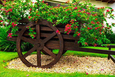 Similar image 20994586