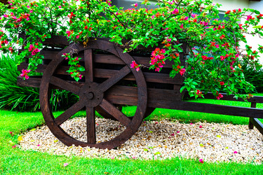 Similar image 20994587