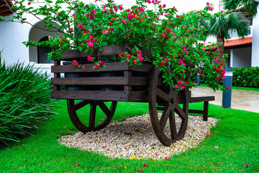 Similar image 20994588