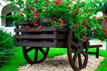 Similar image 20994589