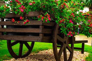 Similar image 20994590