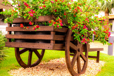 Similar image 20994591