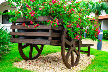 Similar image 20994624