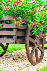 Similar image 21001177