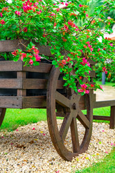 Similar image 21001178