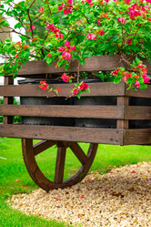 Similar image 21001208