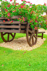 Similar image 21001246