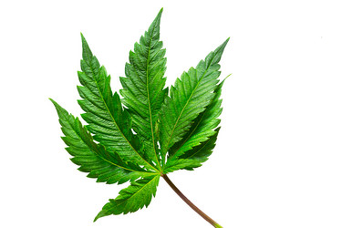 Similar image 20984226