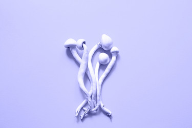 Similar image 20984230