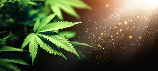 Similar image 20985167