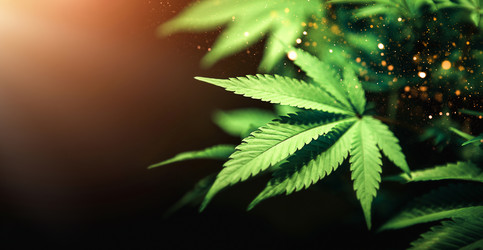 Similar image 20985169