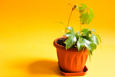 Similar image 20985170