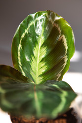 Similar image 20991302