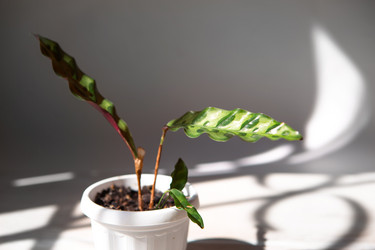 Similar image 20991304