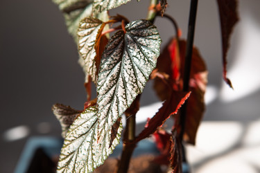 Similar image 20982288