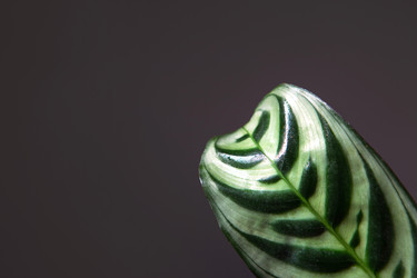 Similar image 20982600