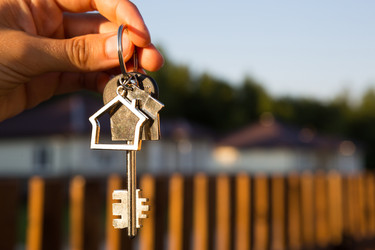 Similar image 20982607