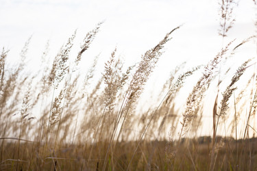 Similar image 20990865