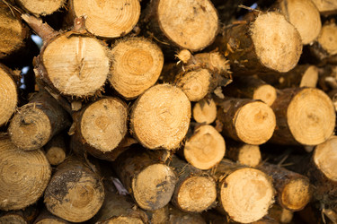 Similar image 20990869