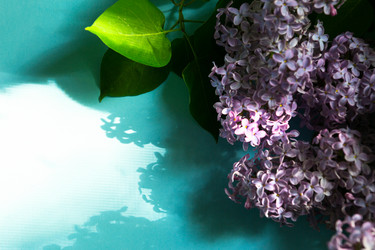 Similar image 20990898