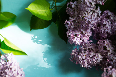 Similar image 20990899