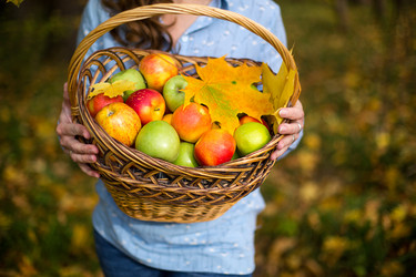 Similar image 20991161