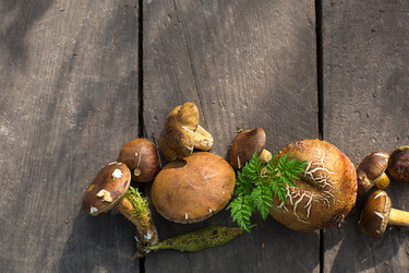 Similar image 20991337