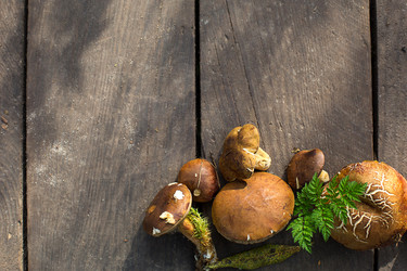 Similar image 20991338