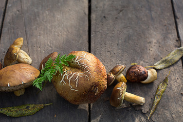 Similar image 20991339