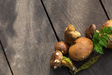 Similar image 20991340