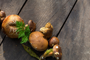 Similar image 20991341