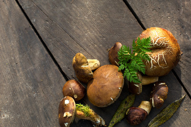 Similar image 20991342