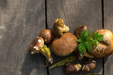 Similar image 20991344