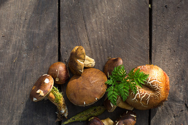 Similar image 20991345