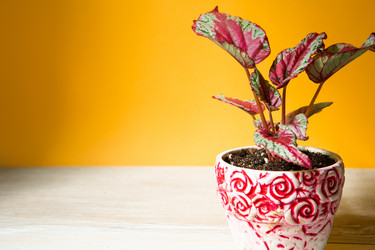 Similar image 20991360