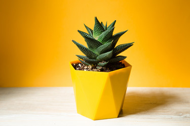 Similar image 20991361