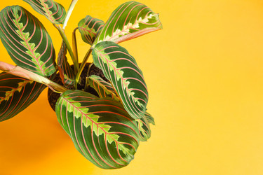 Similar image 20991374