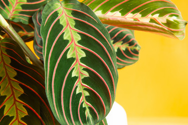 Similar image 20991377