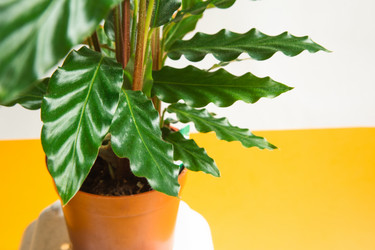 Similar image 20994352